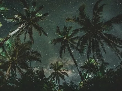 Calming Meditation For Falling Asleep  