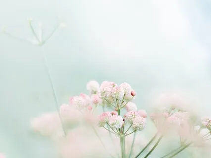 Calming Meditation To Help You Feel Expanded & Limitless