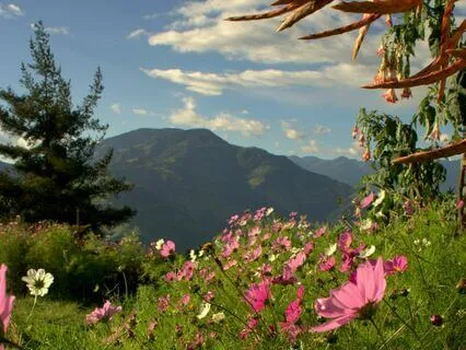 Calming Meditation To Help You Resolve Your Anxiety Issues