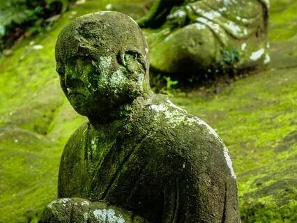 Calming Meditation With Reminder Bells