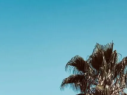 Calming Mindfulness Of Body Practice