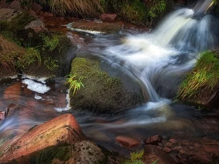 Mountain Stream & Babbling Brook | Forest & Water Sounds For Sleep