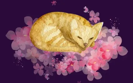 Calming Music Box Melodies With Nature Sounds (One Hour)