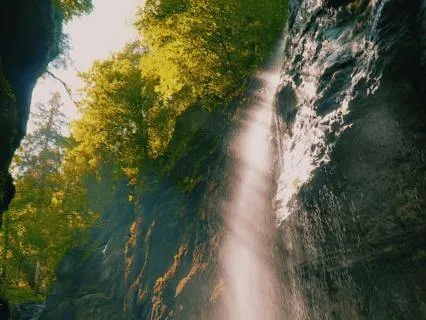 Calming Music For Anxiety