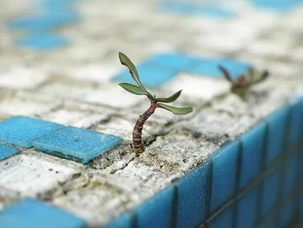 Calming Music For Steady Breathing: 6 Min Breathwork Session