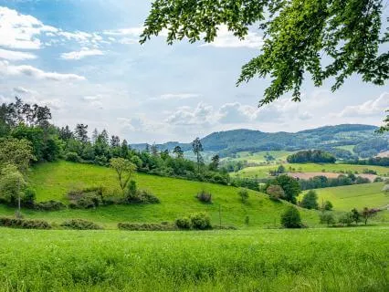 Calming Nature Sounds For Sleep [10 HOURS]