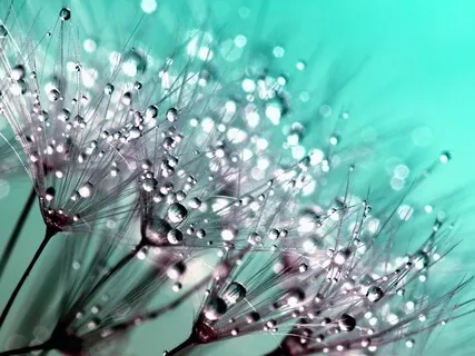 Calming Nature Sounds With Music: Sounds Of Nature For Relaxation, Meditation, Deep Sleep