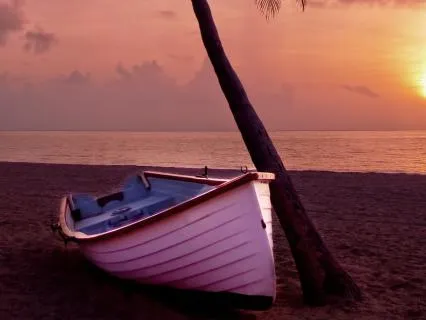 Calming Ocean Waves (1Hr Edition)