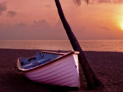 Calming Ocean Waves For Sleep (12hr Edition)