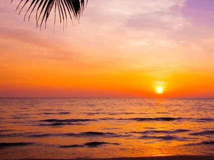 Calming Our System From Self Energy