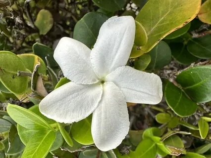 Calming Pep Talk For A Difficult Moment