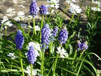 Calming piano for moments of stillness -'Easter Day'