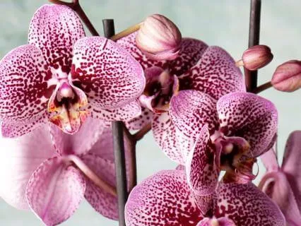 Calming Practice For Beginners | Ease Stress And Reset