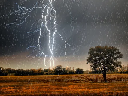 Calming Rain & Distant Thunder