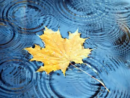 Calming Rain: Brings You Relaxation And Sleep