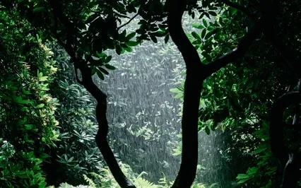 Calming Rain, Crystal Bowls & Native American Flute