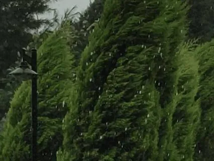 Calming Rain – Storm Outside The Window – Cozy Sleep Sounds