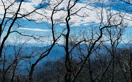 Calming Rhythmic Breath