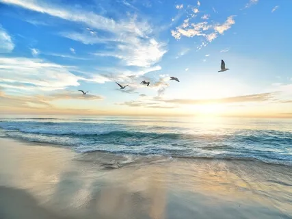 Calming Sea | Relaxing 30 Minutes | Birds Singing