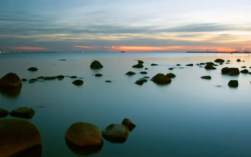 Calming Sessions Part IV - The Quieting Mind