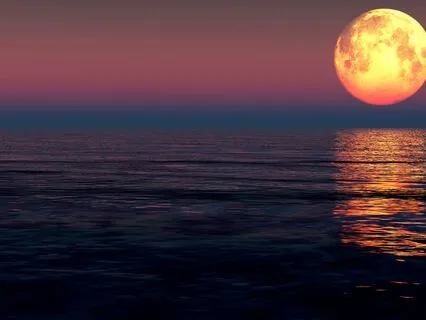 Calming Sleep Meditation | Gentle Yoga Nidra Meditation