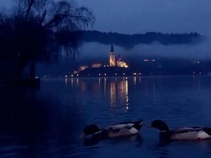 Calming Sleep Music | Insomnia Relief