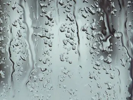 Calming Sleep Music & Rain