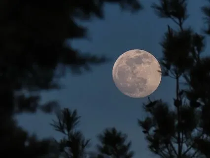 Calming Sleep Music, Regain Confidence