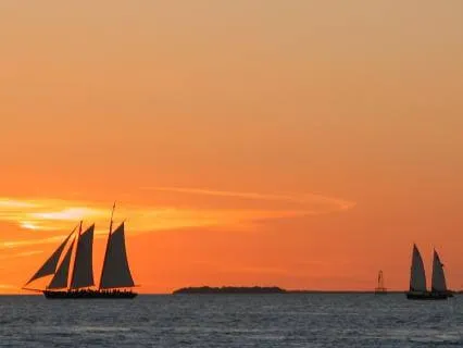 Calming Sleep Sounds | Nervous System Reset | 7 Hours