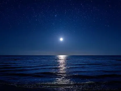 Calming Sleepy Journey: It's Ok. You're Ok