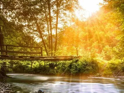 Calming Sound Of The Flowing Stream