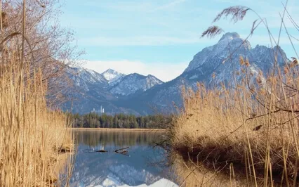 Calming Sound Therapy | Sounds Of A Lake - Ammersee