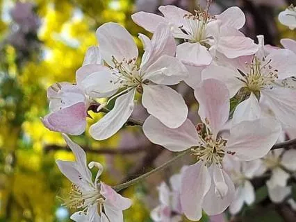 Calming Technique To Help You Feel Safe And Support Sleep