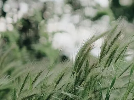 Calming The Fear Of Dizziness