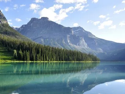 Calming The Mind For Thought Loops