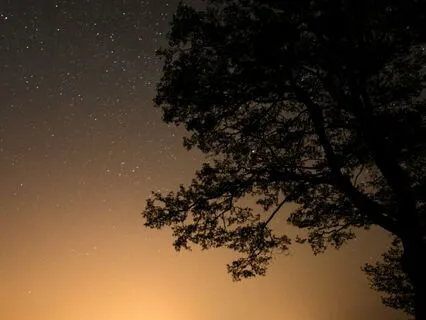 Calming The Mind For Sleep