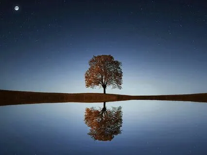 Calming The Mind Meditation: The 4 A's Of Anxiety Management