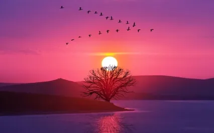 Calming The Mind Meditation