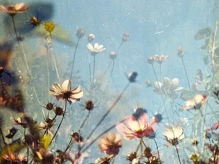 Calming The Mind Session 1 - Noticing The Feet