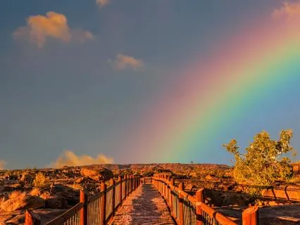 Calming The Nervous System Around Money