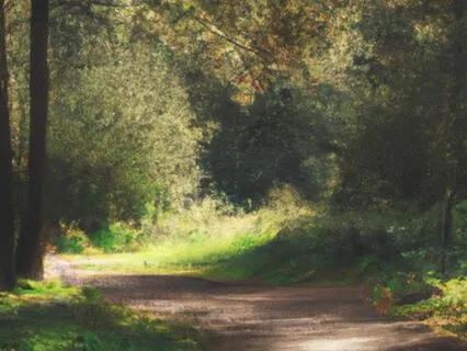 Calming The Nervous System & Finding Stillness