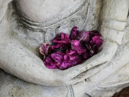 Calming The Nervous System With A Five Senses Meditation