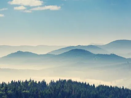 Calming The Urge To Purge