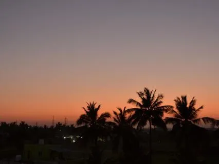 Calming The Wakeful Nervous System At Night