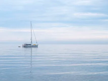 Calming Vibes - Soundology For A Calm And Healthy Life