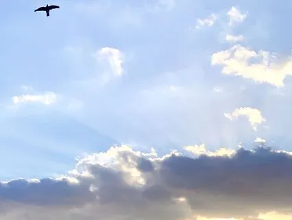 Calming Visualization Meditation For Stress Relief