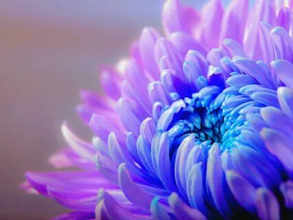 Calming Waves Of Peace With 528 Hz