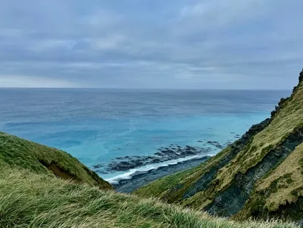 Calming Windy Grasses And Distant Ocean For Deep Sleep