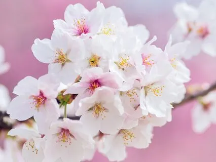 Calming Words Of Comfort For Those In Grief.