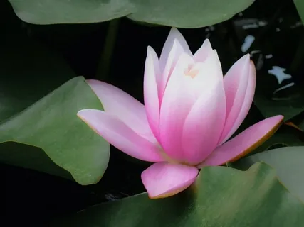 Calming Yoga Breathing